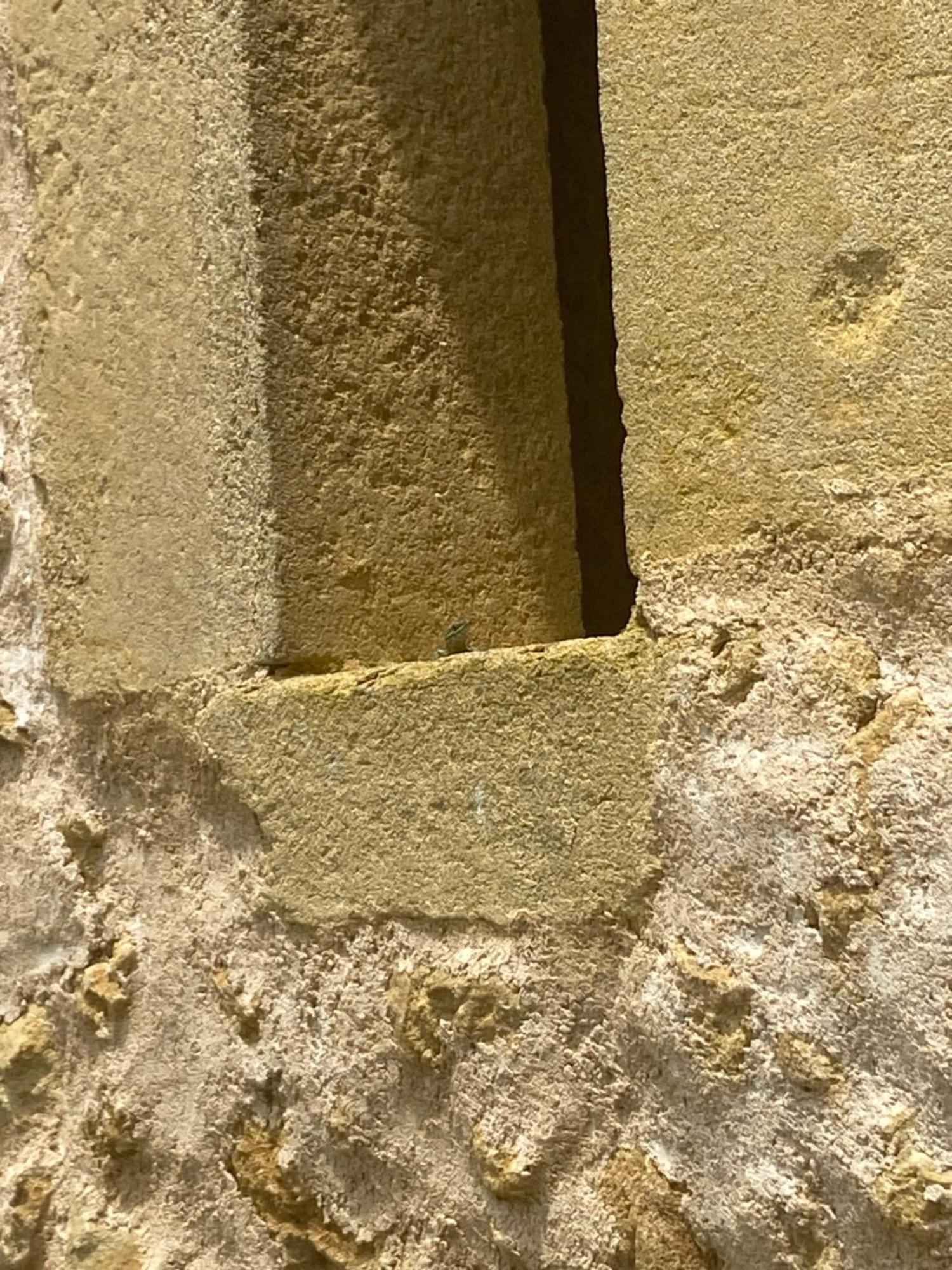 מלון Saint-Christaud  La Grange De Garac מראה חיצוני תמונה